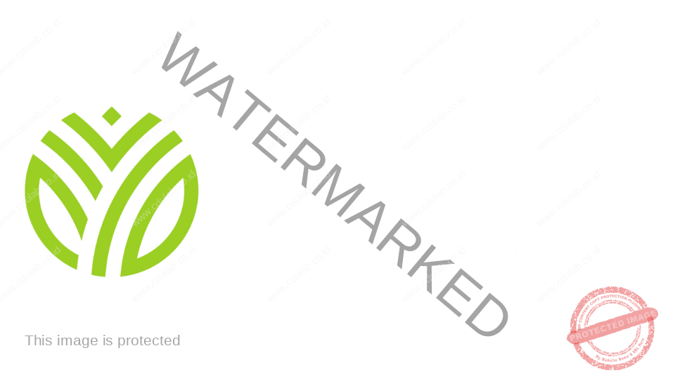 CDULab